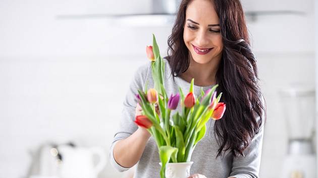 tulipany