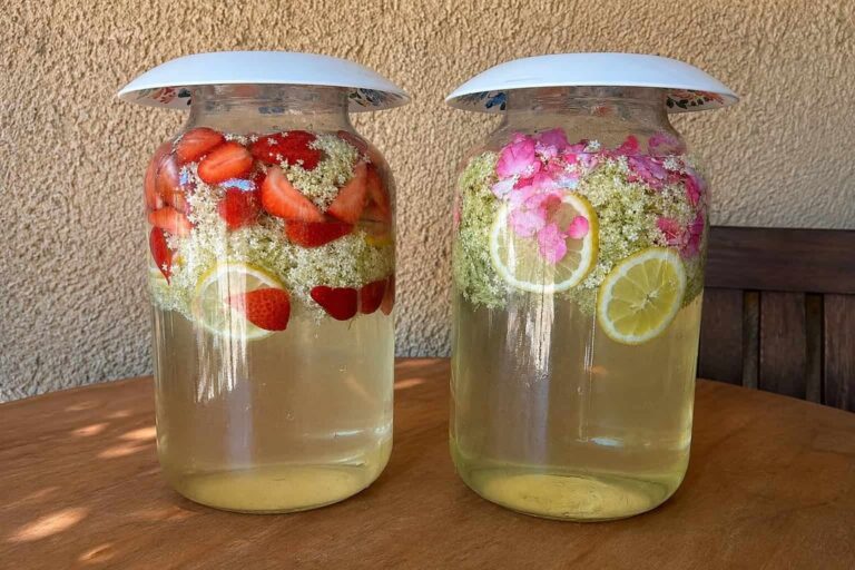 Lemoniada z bzu truskawek i płatków róż. Letni napój pachnie ogrodem po jednej nocy